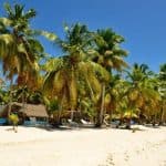 Saona Island From Punta Cana - Photo 4 (Gallery view)