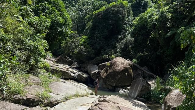 El Yunque Rainforest and Waterfalls : Greenery and Scenery