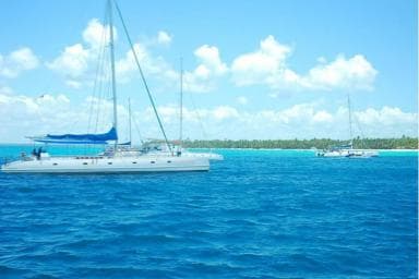 Juan Dolio: gita di un giorno all'isola di Saona con pranzo e open bar - Photo 5 (Gallery view)
