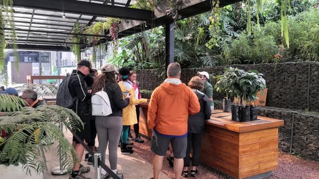 San José: Guided Volcano, Waterfall & Coffee Farm Day Trip