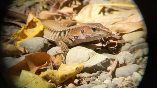 Private Tour Diria National Park Unspoken Hiking and Nature