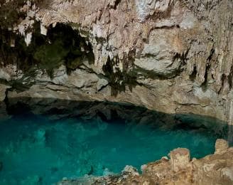 Soukromé: Bayahibe: Procházka džunglí a šnorchlování Cenote - Photo 3 (Gallery view)