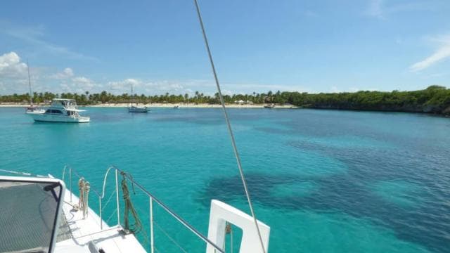 Saona Island Excursion from Punta Cana - Photo 5 (Gallery view)