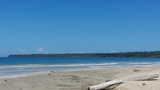 Cahuita national park : guiding tour with Pablo