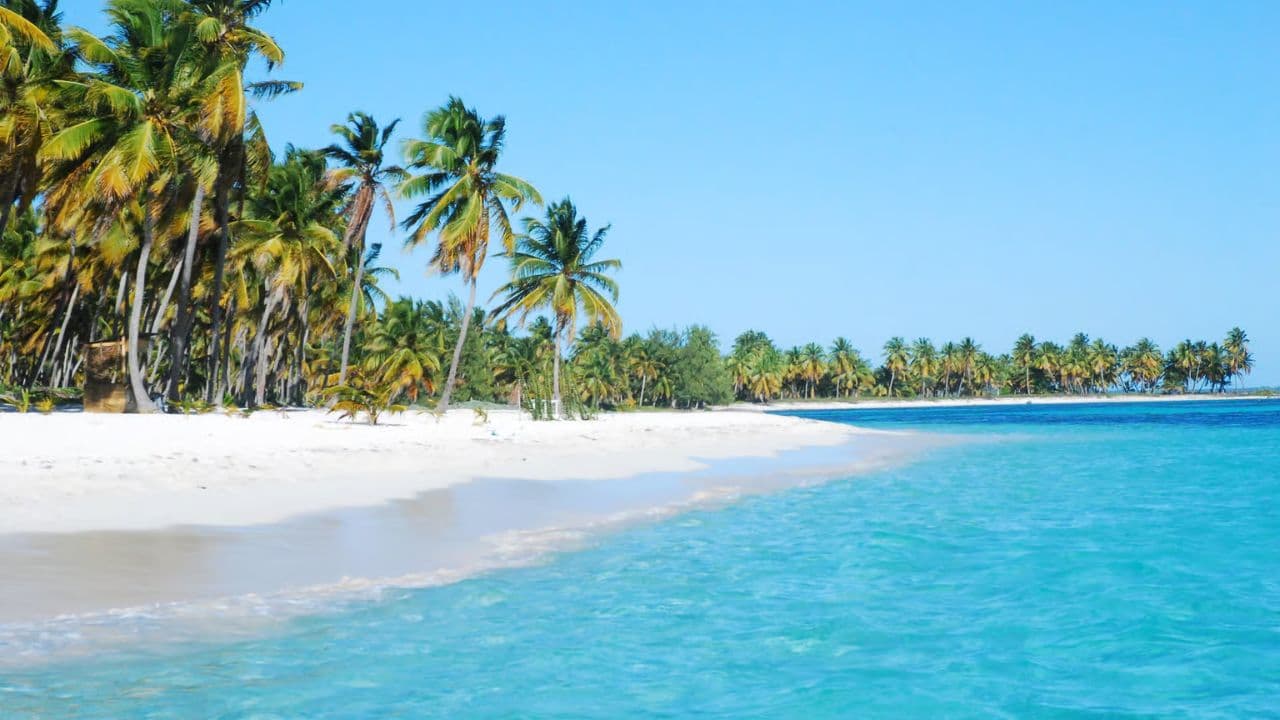 From La Romana: Saona Island for Costa Cruises Passengers	