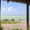 Jaragua Ulusal Parkı: Laguna de Oviedo'yu keşfedin - Photo 5 (Gallery view)