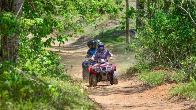 From San Jose: Jungle, Beach and River ATV Adventure - Photo 3 (Gallery view)