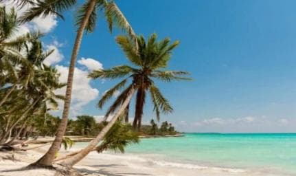 Bayahibe: Katamaran-Tour zur Insel Saona mit Mittagessen und Getränken - Photo 4 (Gallery view)