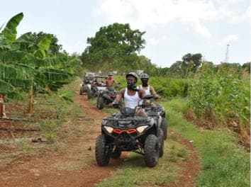 Fuga in buggy ai Caraibi – Giungla e safari a Bayahibe - Photo 3 (Gallery view)