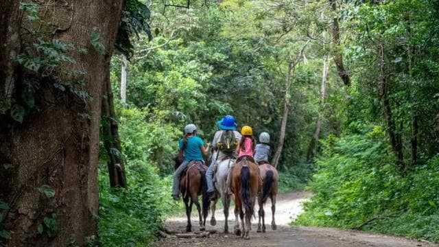 Rincón de la Vieja: Eco Adventure 12-in-1 Day Pass