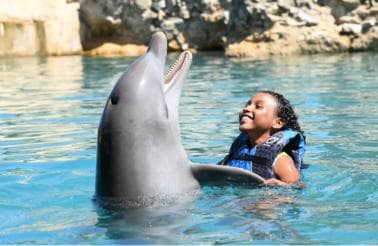 Puerto Plata Ocean World Dolphin Swim - Dominican Republic
