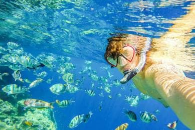 Monkeys and Snorkel Adventure in Sosúa, Puerto Plata - Dominican Republic