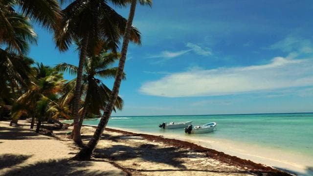 Punta Cana: Saona Island All-Inclusive Day Trip - Photo 4 (Gallery view)