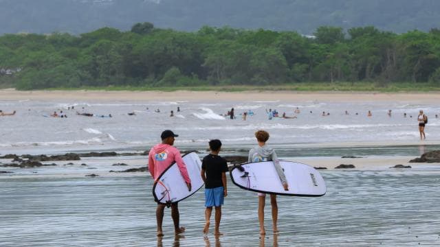 Tamarindo Surf & Tours : Surf Lesson For All Levels