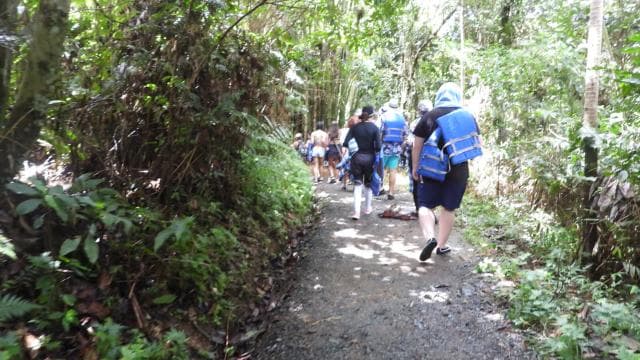 From San Juan: Rainforest Walk, Nature Swim & Luquillo Beach