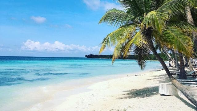 Santo Domingo: Catamaran to Saona An Unforgettable Journey