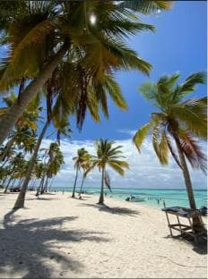 Saona Island VIP: 4 Beaches , Mano Juan & Canto de la Playa - Photo 4 (Gallery view)
