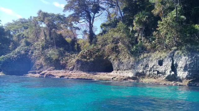 Manzanillo: Dolphin watching and Punta Mona Beach
