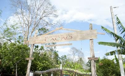 Dominican Republic: 3-Hour Chocolate Lovers Tour