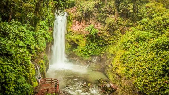 Poás Volcano, Coffee Plantation & La Paz Waterfall Gardens - Photo 3 (Gallery view)