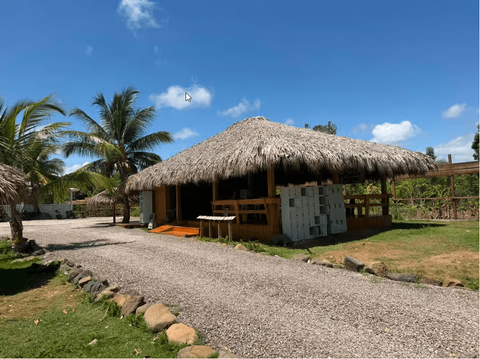 Monkey House VIP – Exklusives Erlebnis in Punta Cana - Photo 3 (Gallery view)