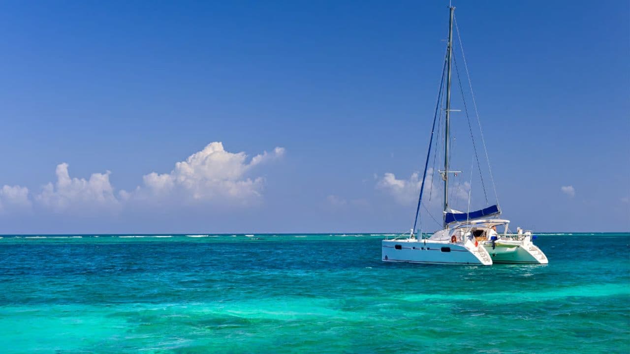 Catamaran Tour to Saona Island: Lunch & Open Bar Experience