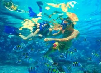 Private: Catalina Island Snorkel Dive Day Trip from Bayahibe - Photo 2 (Gallery view)