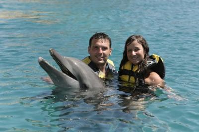 Puerto Plata Ocean World Dolphin Swim