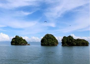 2in1: Los Haitises National Park + Yanigua Waterfall-SPA