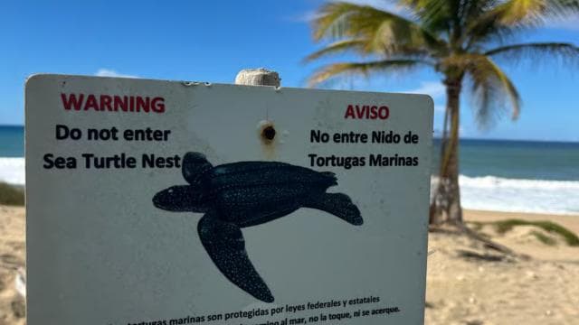 San Juan:Beach hopping Los Tubos, Hacienda Esperanza & more - Photo 5 (Gallery view)