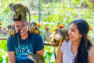 Monkeys and Snorkel Adventure in Sosúa, Puerto Plata