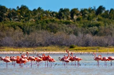 Jaragua National Park: Explore Laguna de Oviedo