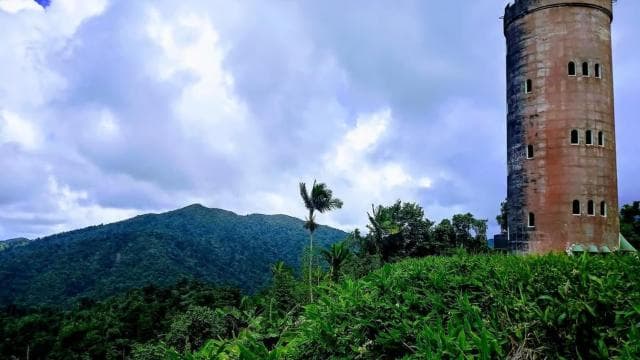 Private & Customizable El Yunque Rainforest Adventure