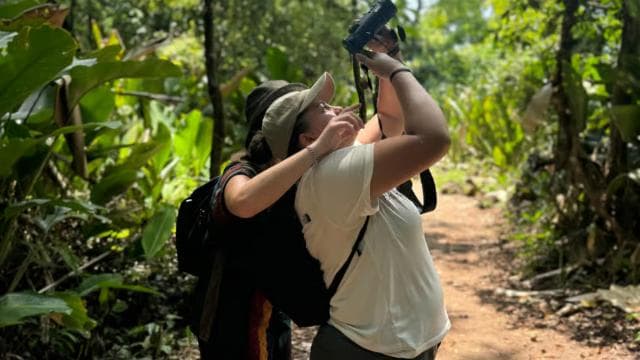 Tortuguero National Park: Jaguar Trail Day Walk Adventure - Photo 2 (Gallery view)