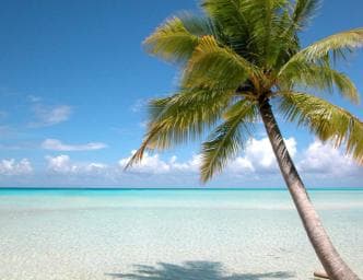Private: Saona Island Full-Day Escape with Meals & Beverages - Dominican Republic