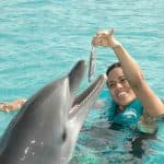 Puerto Plata Ocean World Dolphin Swim