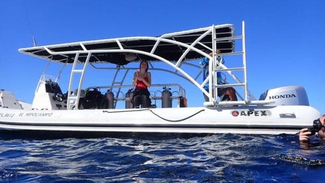 Tamarindo: noleggio barca privata per snorkeling Guanacaste - Photo 3 (Gallery view)