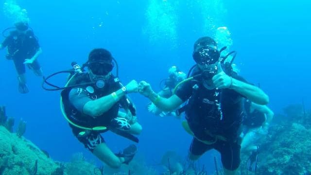 immersioni all'isola catalina da punta cana - Photo 5 (Gallery view)