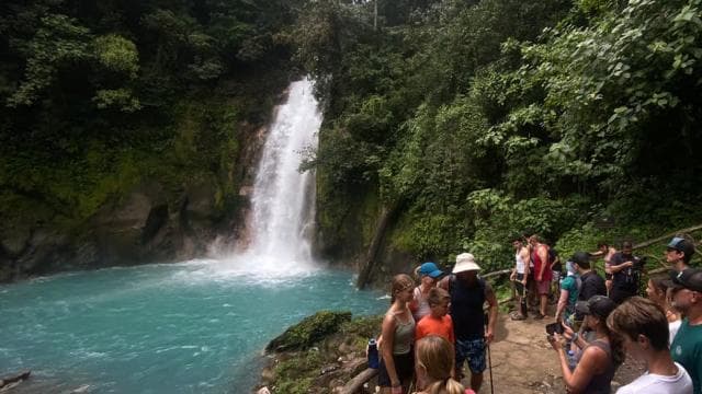 La Fortuna: Rio Celeste, Sloths, Coffee & Chocolate Tour - Photo 4 (Gallery view)