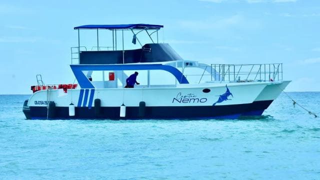 Punta Cana: Vwayaj Jounen Catalina Island ak plonje - Photo 2 (Gallery view)