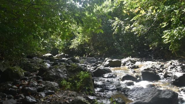 San Juan, PR: Hike to a Hidden Waterfall Adventure