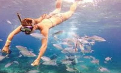 Private: Catalina Island Snorkeling & BBQ Boat Tour