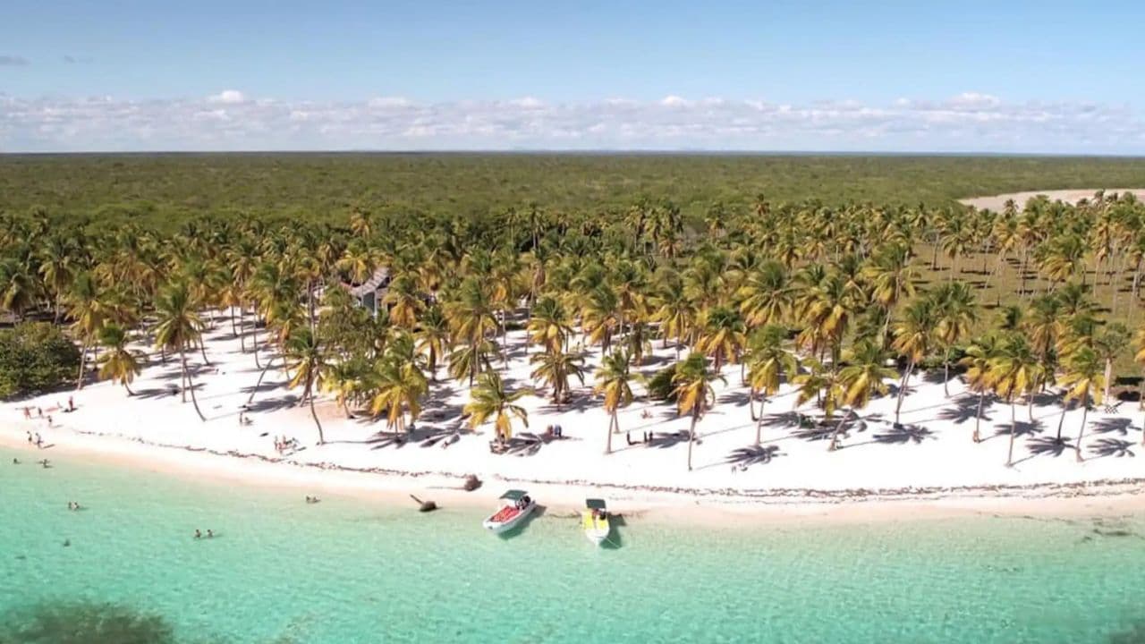 Explorez l'expérience : Tours de Punta Cana à l'île Saona - Photo 5 (Gallery view)
