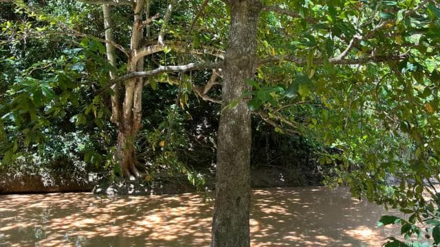 San Juan - Arecibo: midwest expedition waterfalls and beach - Photo 3 (Gallery view)