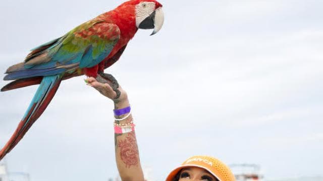 Punta Cana Booze Cruise, Snorkeling, with Sand-Bar