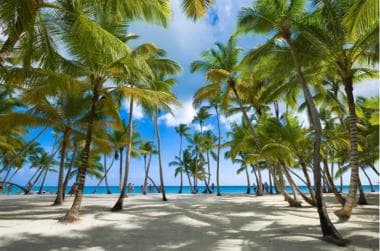 Private: Isla Saona VIP Escape Luxury Beach & Speedboat Tour