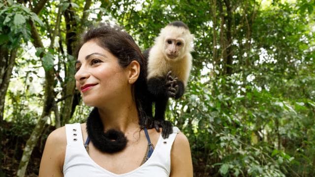 San Jose: Manuel Antonio National Park Day Trip with Lunch - Dominican Republic