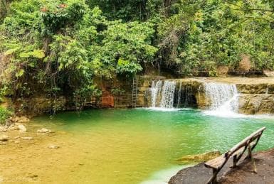 Aventura desde Samaná: Los Haitises, Caño Hondo y Yanigua - Photo 4 (Gallery view)