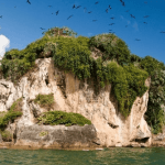 From Samana: Los Haitises Boat and Walking Tour with Lunch