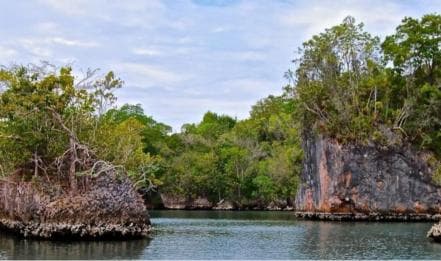 Samana: Los Haitises Kayaks & Caño Hondo Pools Tour w/ Lunch - Photo 3 (Gallery view)
